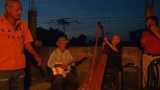 "Proyecto Criollo", Arpa, Cuatro Y Maracas