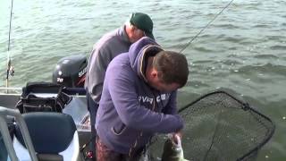 Bodden im Juli 2014 mit 90cm-Zander