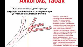 Механизм утраты людьми МЕРЫ понимания, осознанности и различения от алкоголя и курения