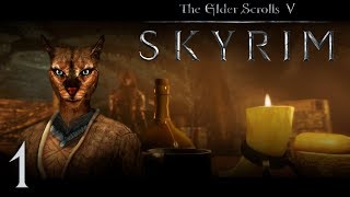 SKYRIM - Кошка в Городе Воров ?
