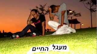 אלטריגו - מעגל החיים