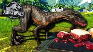 ? INDORAPTOR vs INDOMINUS REX vs T-REX! STARCIE TYTANÓW! | Jurassic World Evolution #19
