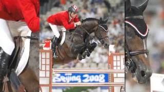 Jumper Horse: Hickstead