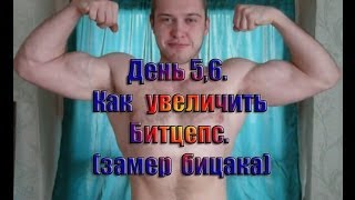День5,6 Как накачать руки, бицепс за 1 неделю в домашних условиях на 1,5см Day 5,6 How to increase b