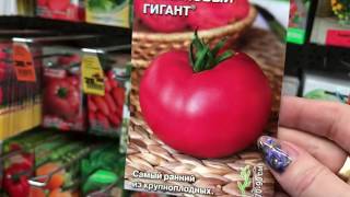 Семена Томатов на 2020 год в Оби! Огромный выбор!