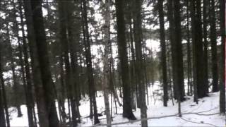 DØD SNØ 2 film