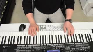 Morteza Pashaei - Jadeye Yektarafe (Instrumental - Live)