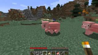 Выживание в MineCraft | Хардкор на спор | #1