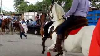 Hipicos Esteli 2011