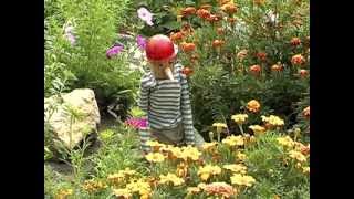 Северодонецкий Азот - Лето 2013