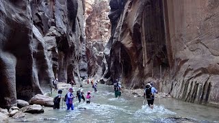 Hiking in Zion NP, Utah: Angels Landing & Virgin Narrows in 4K (Ultra HD)