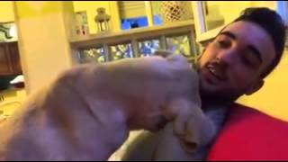 Cani che abbracciano padroni?!?