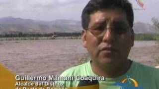 Arequipa: Desborde del río Tambo arrasa con 80 hectáreas de cultivos de arroz