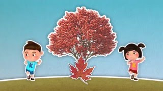 รายการบ้านนักวิทยาศาสตร์น้อย ปี 3 ตอนที่ 114 ใบไม้