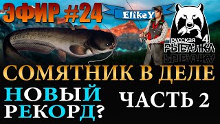 Ищем Монстра! • Трофейный Сом? • Поставим новый рекорд? • Река Ахтуба • Русская Рыбалка 4 • ЭФИР #24