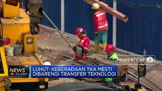 Luhut: Jangan Ribut Soal 500 TKA China