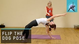 Flip Your Downward Dog, Yoga with Esther Ekhart