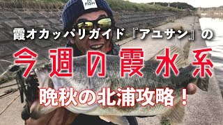 オカッパリガイド・アユさんの今週の霞水系！晩秋の北浦攻略！