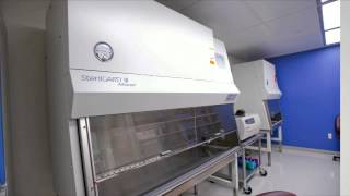 NEIDL: Biosafety Level 3