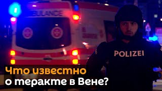 Теракты в Вене: что произошло?