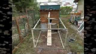 Construction d'un poulailler