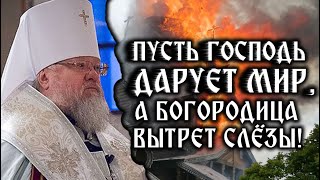 "Молюсь о вразумлении безумцев". Митр. Илларион обратился к братии Святогорской Лавры