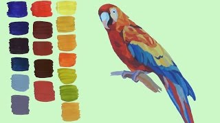Как нарисовать попугая гуашевыми красками. Смешивание гуашевых красок| Art School