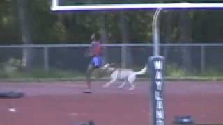 Dog runs onto track during Newton South's 4x4 Relay!