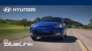 Stolen Vehicle Recovery | Blue Link Stories | Hyundai Blue Link®