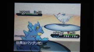 【ポケモンBW2】ランダムフリー対戦 【物理受けニドクイン】