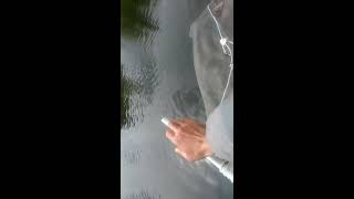 быстрая установка сети с лодки.Quick network installation from the boat