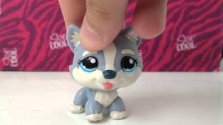 LPS HUSKY COLLECTION