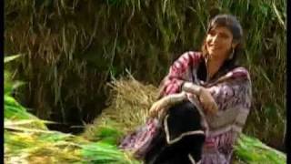 Zameen Dost ad