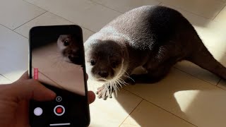 カワウソと猫を超至近距離で撮影してたら映っちゃちゃいけないものが… Otter and cat photographed at close range.