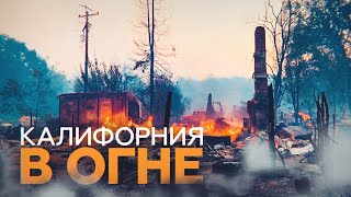 В Калифорнии как минимум три человека погибли в результате лесных пожаров, выжжено 1,5 млн га земли