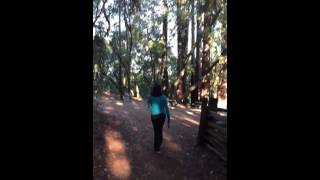 Jack London Wolf House