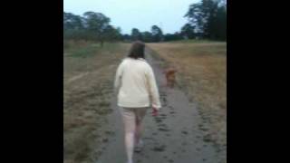 CCSVI -- Walking 4 weeks post treatment