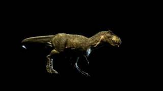 Vigorro - T Rex Animation