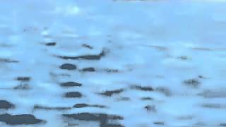 МЕГАЛОДОНА засняли на видео - Атака на корабль!!!