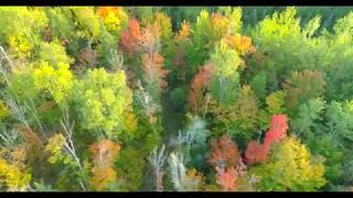 The fall colors in northern Minnesota- Sept. 2019 Watch it in 4K!
