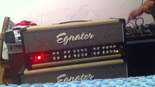 Eganater 4100 Head 2X12 cab