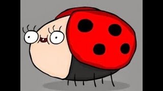 La coccinelle