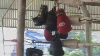 Тайланд. Пхукет. Кемпы тайского бокса SOUL, LION и СИМБА Muay Thai