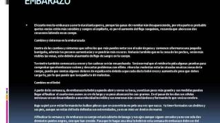 síntomas del cuarto mes de embarazo