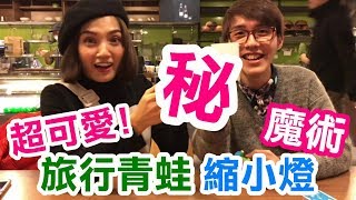 超可愛!!旅行青蛙與縮小燈魔術!!【魔術Channel】尋找紅心A OK BOOM