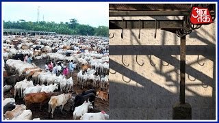 India 360: Illegal Slaughterhouses Shut In Allahabad As Per BJP's Promise Before Polls