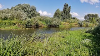 Вернемся в ЛЕТО! Ловля фидером на дикой речке!