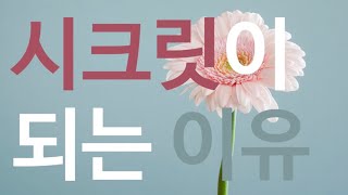 '시크릿'이 정말 되나요? | 시크릿으로 인생을 바꿀 수 있는 이유 | 끌어당김의 법칙
