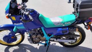 Honda Dominator