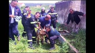 Greek Firefighters Western Macedonia district_Our world. You may enter!
